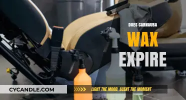 The Shelf Life of Carnauba Wax: Does It Expire?