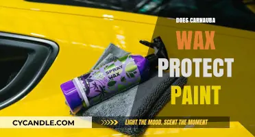 Unlocking the Protective Power of Carnauba Wax on Paint
