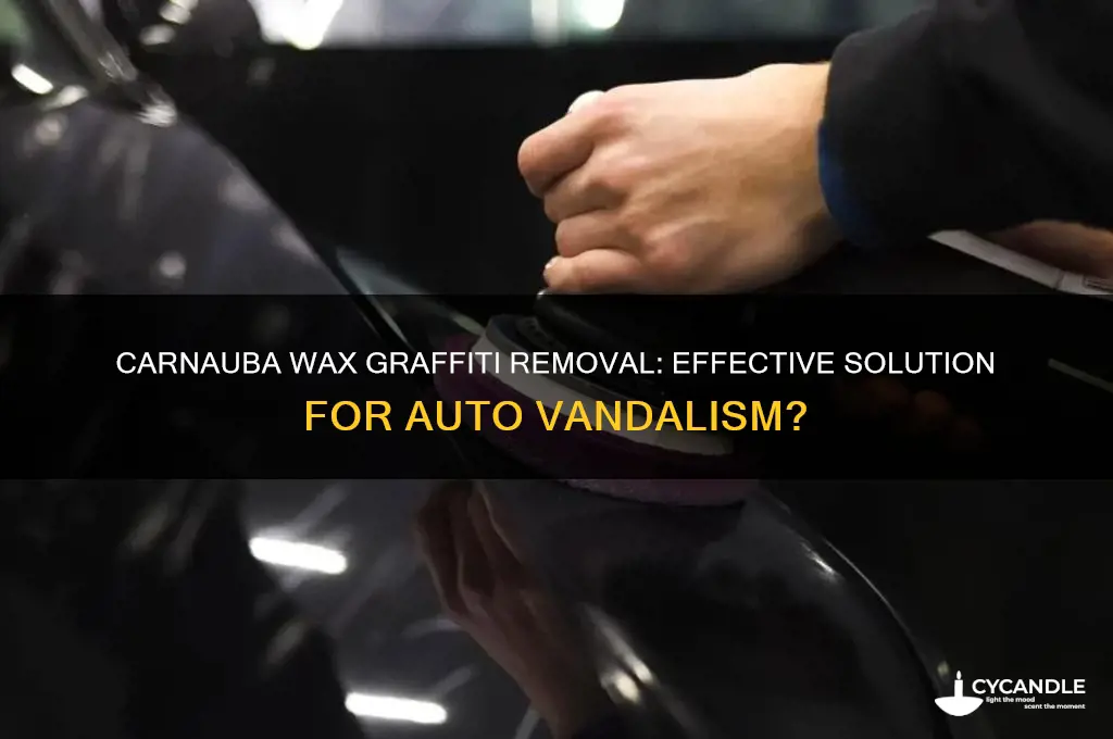 does carnauba wax remove graffiti on autos