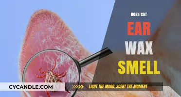 The Scoop on Feline Ear Wax: A Smelly Situation?