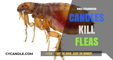 Cedarwood Candles: Natural Flea Killer?