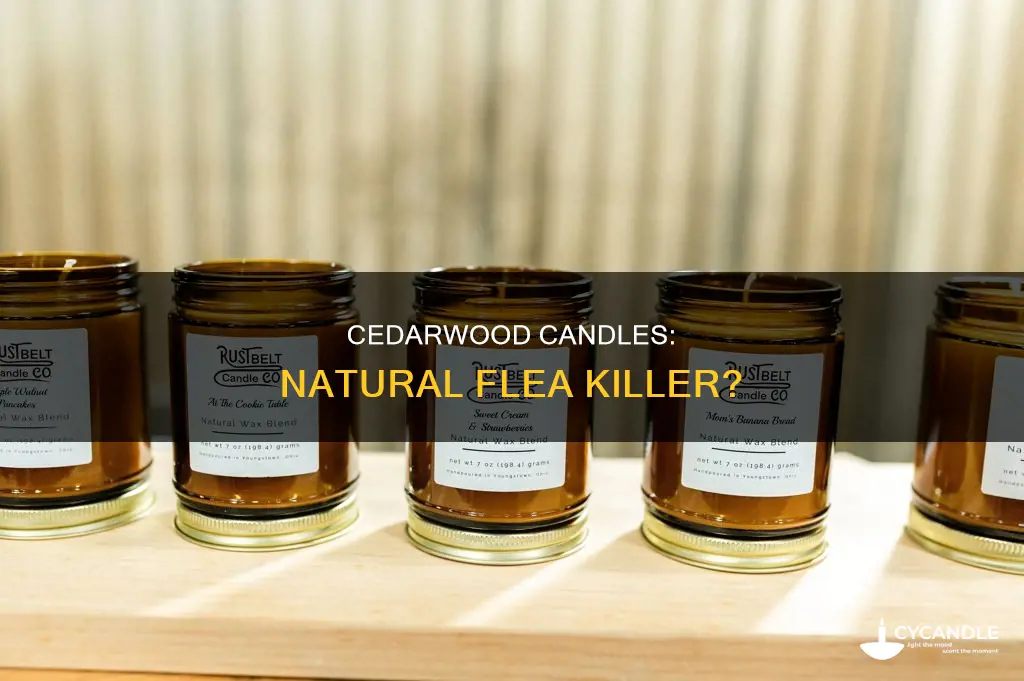 does cedarwood candles kill fleas
