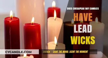 Chesapeake Bay Candles: Lead Wicks or Safe Burning Experience?