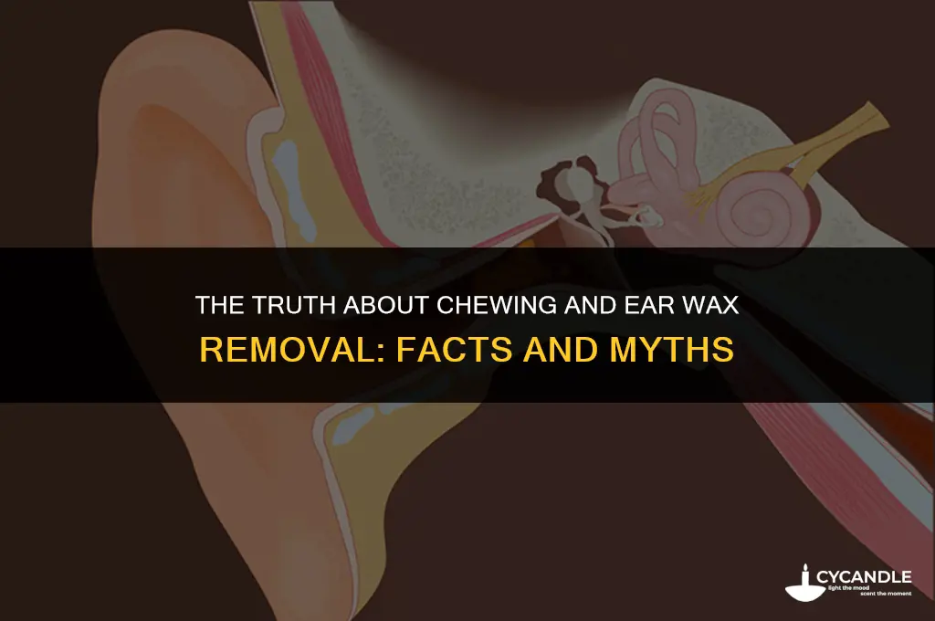 does chewing remove ear wax