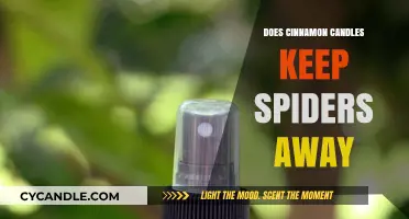 Cinnamon Candles: Spider Repellent or Myth?