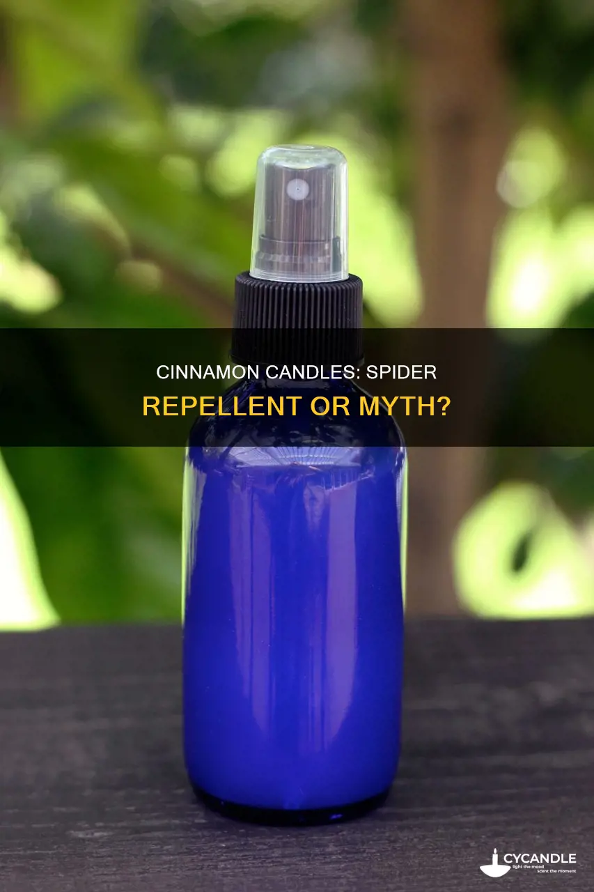 does cinnamon candles keep spiders away