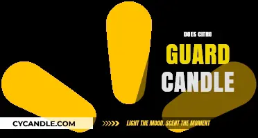CitroGuard Candle: Effective Insect Repellent or Gimmick?