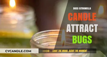 Citronella Candles: Bug Repellent or Attractant?