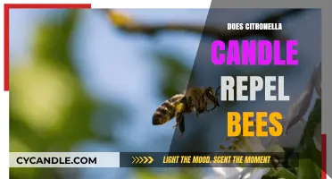 Citronella Candles: Effective Bee Repellent or Not?