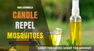 Citronella Candles: Effective Mosquito Repellent or Just a Myth?