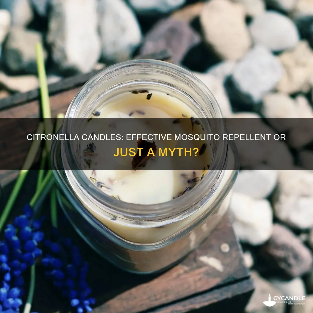 does citronella candle repel mosquitoes