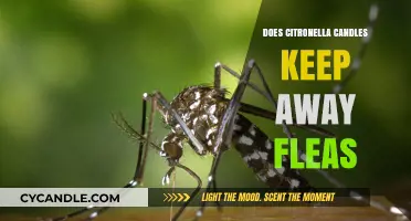 Citronella Candles: Effective Flea Repellent or Myth?