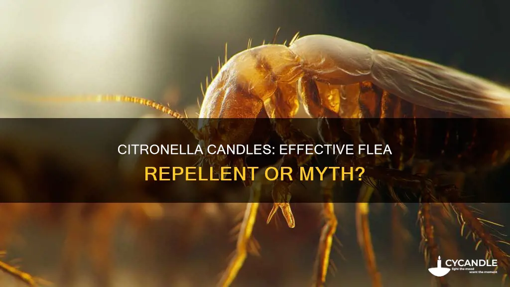 does citronella candles keep away fleas