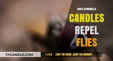 Citronella Candles: Effective Fly Repellent or Myth?