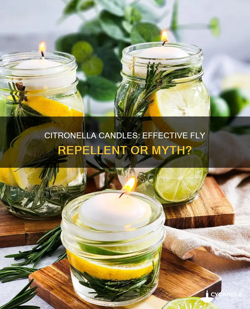 does citronella candles repel flies
