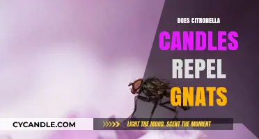 Citronella Candles: Effective Gnat Repellent or Just a Myth?