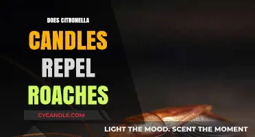 Citronella Candles: Effective Roach Repellent or Myth?