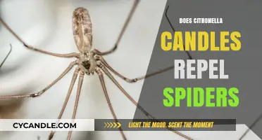 Citronella Candles: Effective Spider Repellent or Myth?