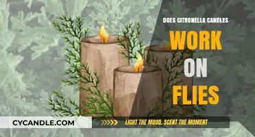 Do Citronella Candles Repel Flies? Uncovering the Truth