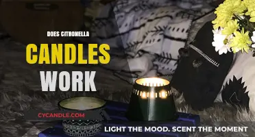 Do Citronella Candles Repel Mosquitoes? Separating Fact from Fiction