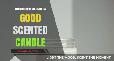 Coconut Wax Scented Candles: Benefits, Burn Quality, and Aromatic Appeal