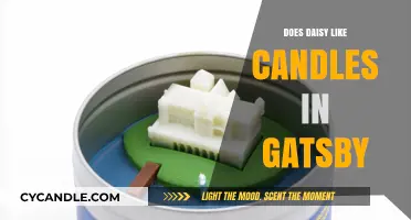 Daisy's Love for Candles: Gatsby's Symbolic Gesture