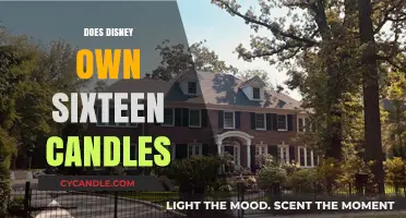 Who Owns the Rights to Sixteen Candles?