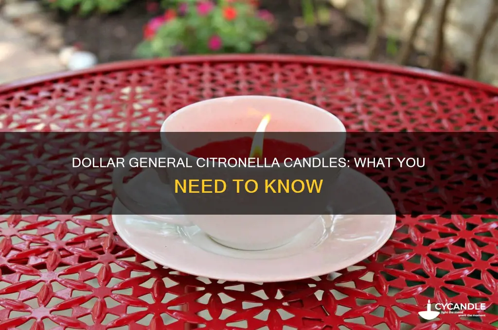 does dollar general have citronella candles