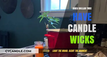 Does Dollar Tree Sell Candle Wicks? A Crafting Supplies Guide