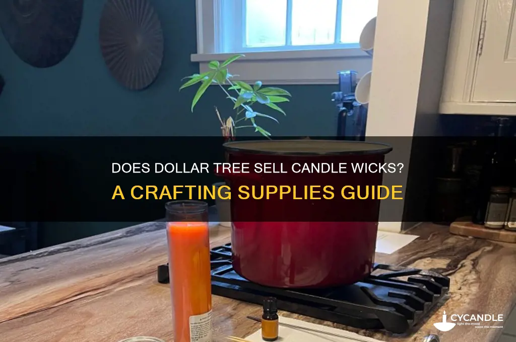 does dollar tree have candle wicks