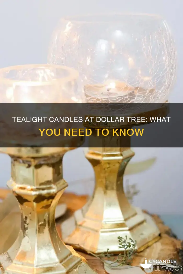 does dollar tree have tealight candles