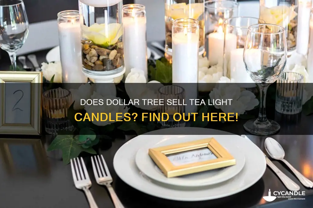 does dollar tree sell tea light candles