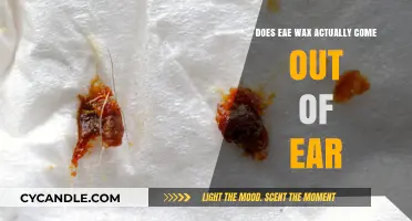 The Truth About Earwax: Does EAE Wax Really Exist?