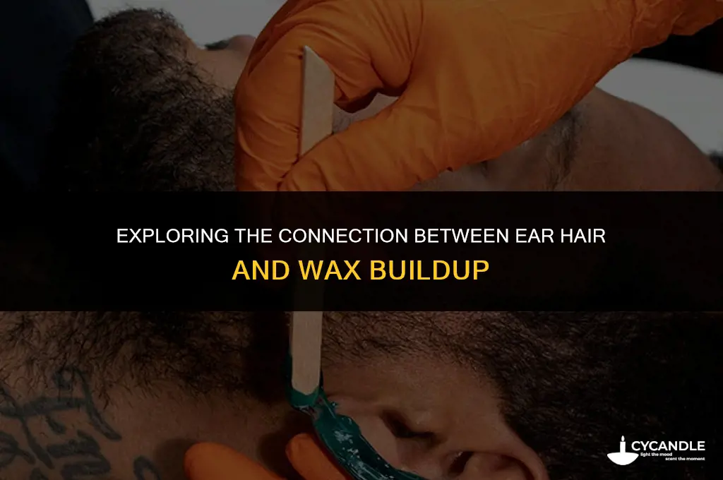 does ear hair keep wax from coming out