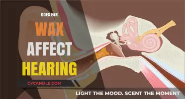 The Impact of Ear Wax on Hearing: Facts and Myths