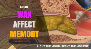 Unclogging the Mind: The Surprising Link Between Earwax and Memory
