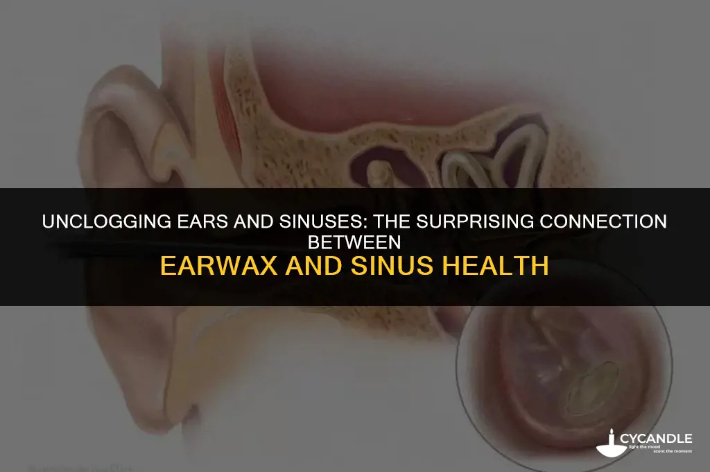 does ear wax affect sinuses
