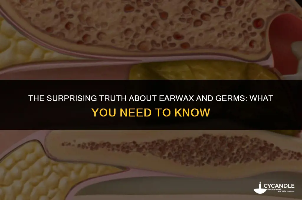 does ear wax carry germs