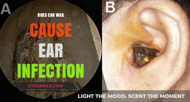 Ear Wax and Infections: Debunking Common Myths and Facts