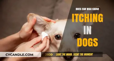 Can Ear Wax Cause Itching in Dogs? Understanding Canine Ear Health
