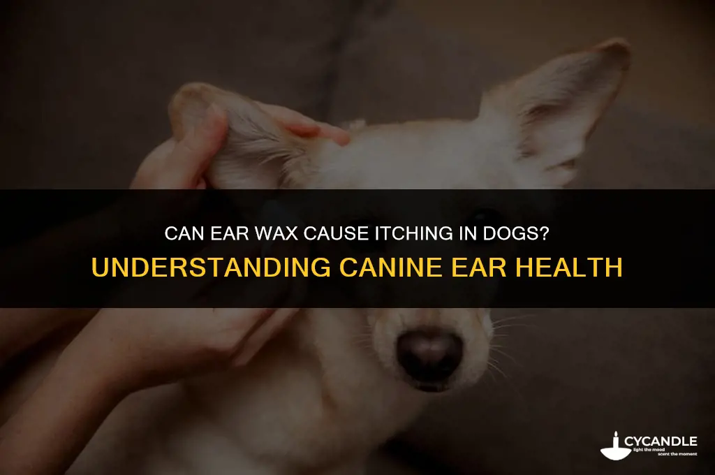 does ear wax cause itching in dogs