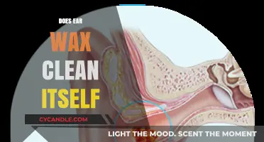 The Surprising Truth About Ear Wax: Self-Cleaning or Not?