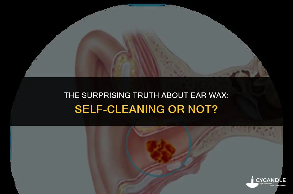 does ear wax clean itself