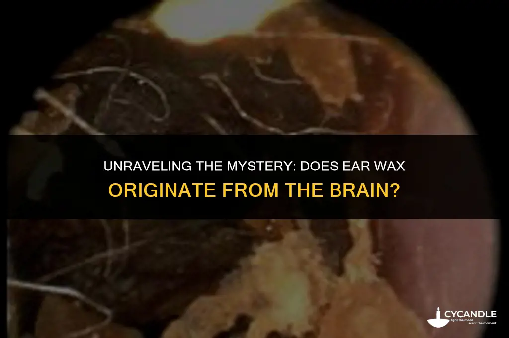 does ear wax come from the brain
