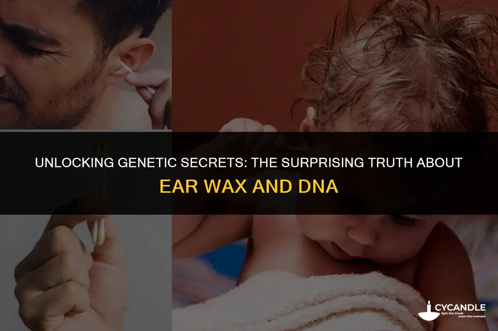 does ear wax contain dna