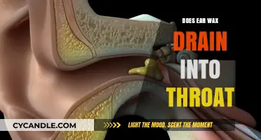 Exploring the Connection: Does Ear Wax Drain into Throat?