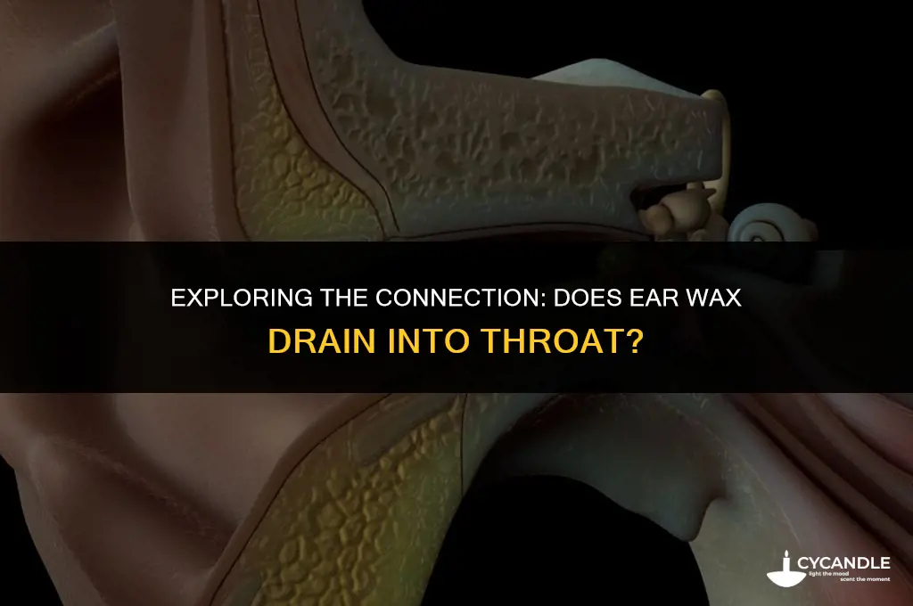 does ear wax drain into throat