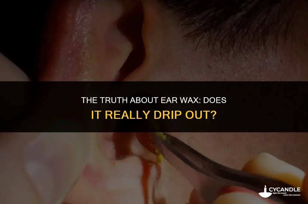 does ear wax drip out