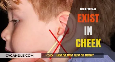The Truth About Earwax: Does It Really Exist in Your Cheeks?