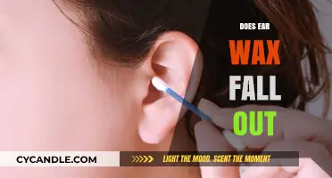 The Surprising Truth About Earwax: Does It Really Fall Out?